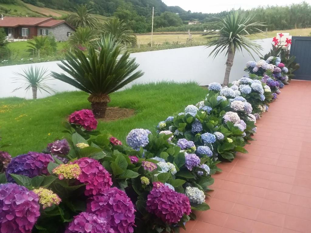 Azores, Faial , Horta, Vacation Beach Front Home, First & Second Floor for rent separately photo 2