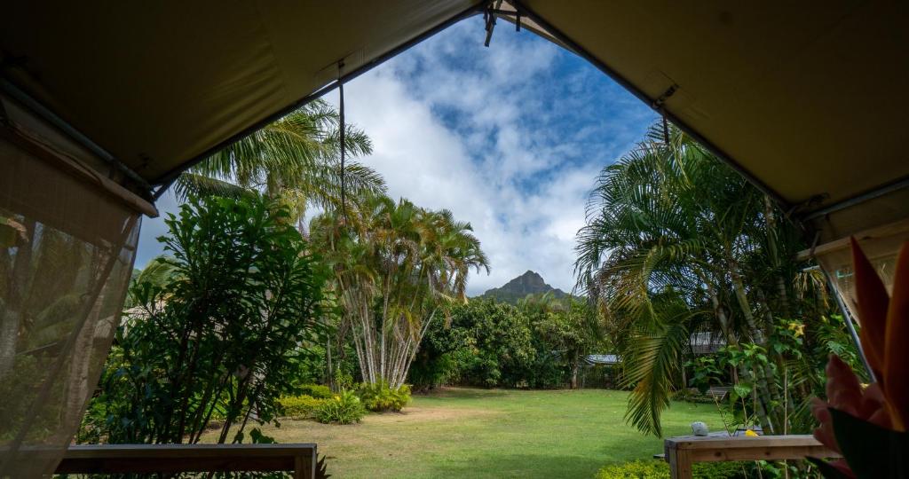 Ikurangi Eco Retreat photo 4