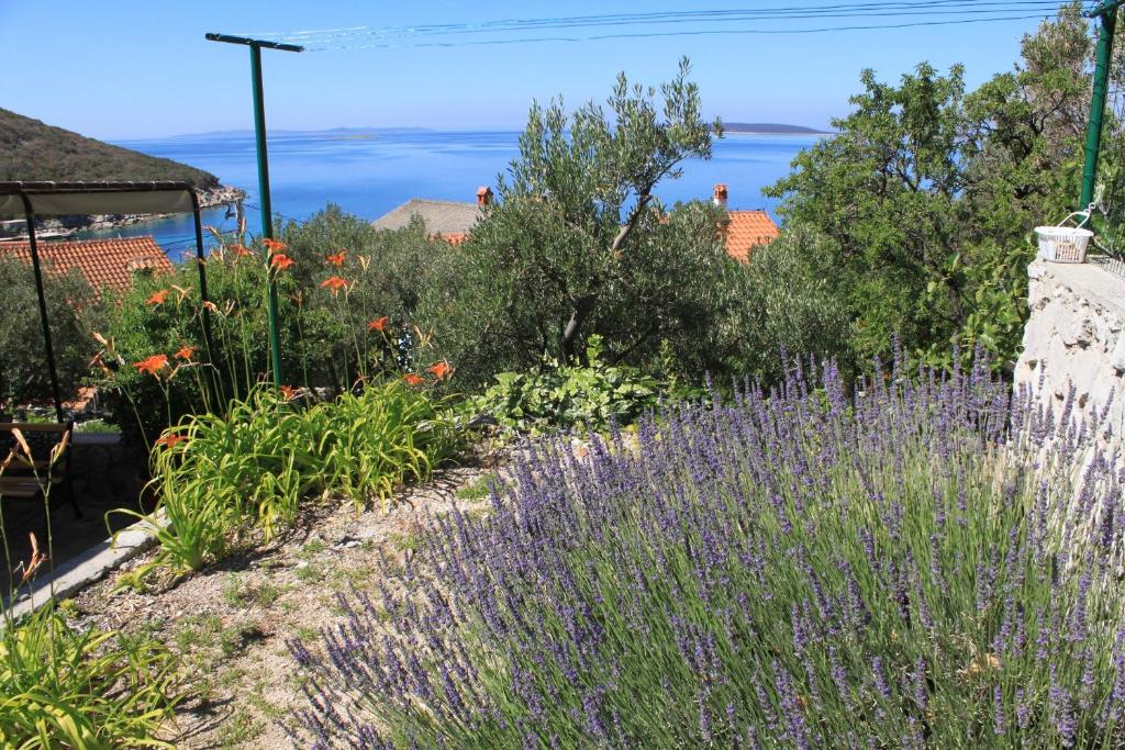 Seaside holiday house Miholascica, Cres - 8073 photo 4