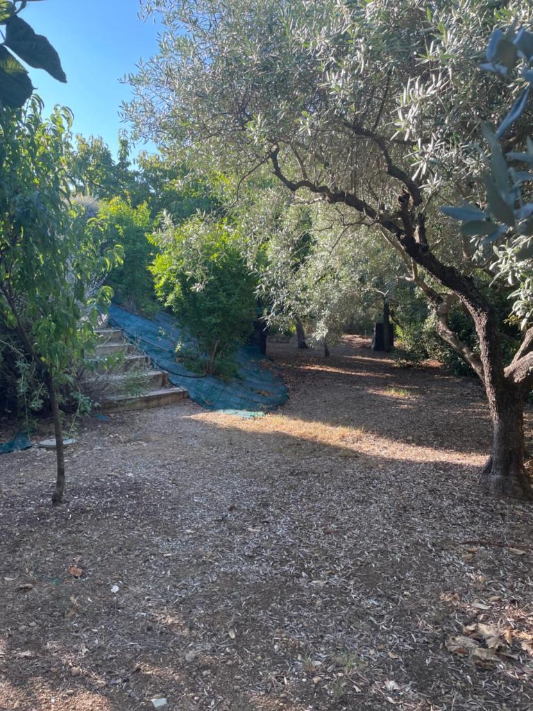 Villa 180 m2 piscine photo 2