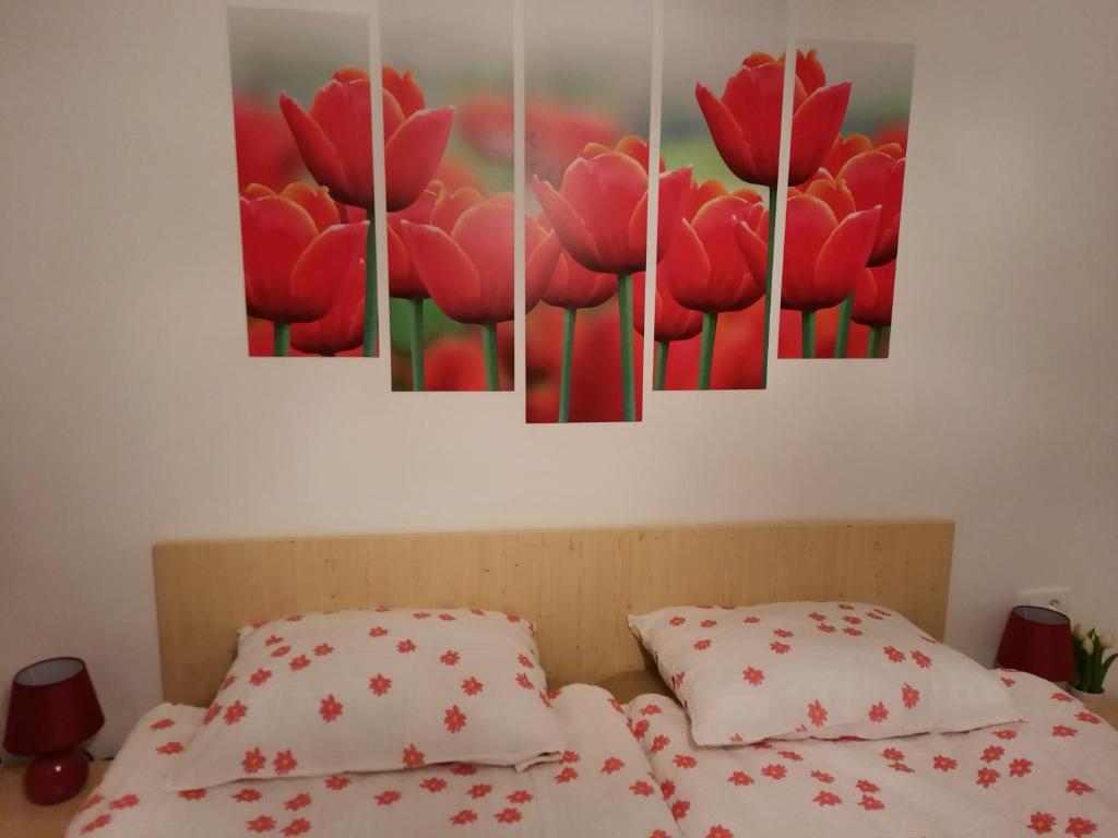 Apartma Rožle photo 1