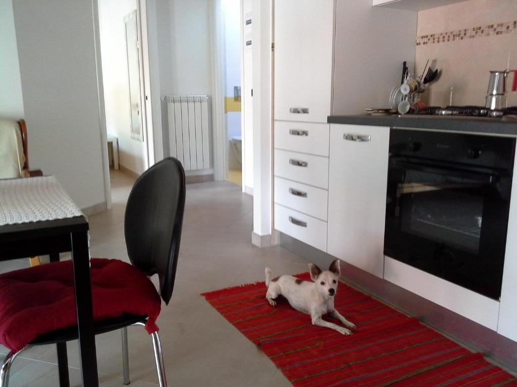 Casa vacanze The Flea's Home photo 2