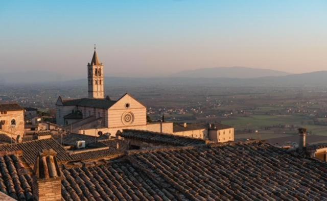 Domus Fonte dei Leoni photo 2