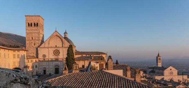 Domus Fonte dei Leoni photo 4