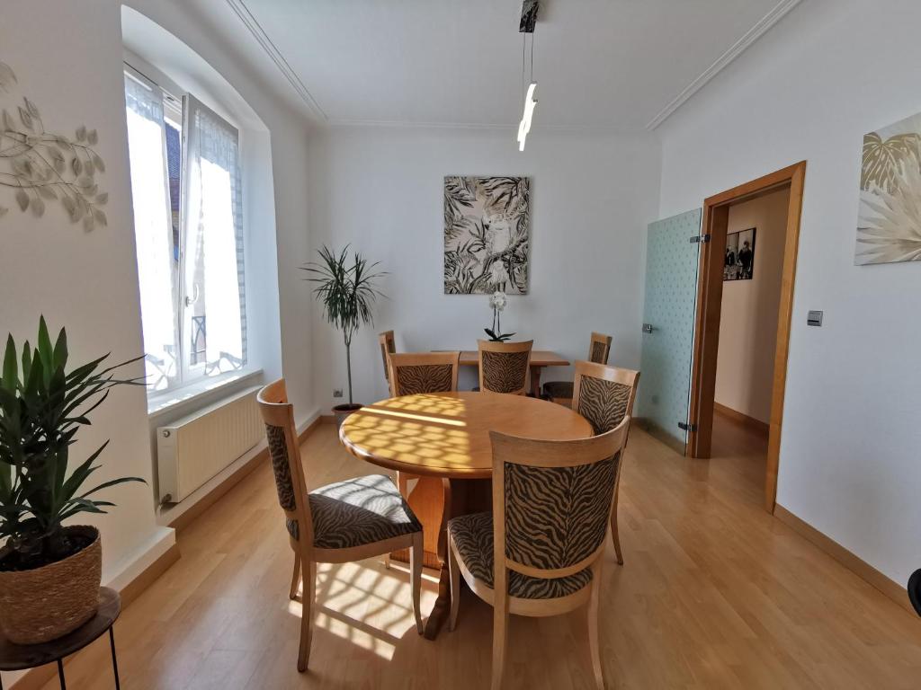 Bel appartement calme lumineux photo 3