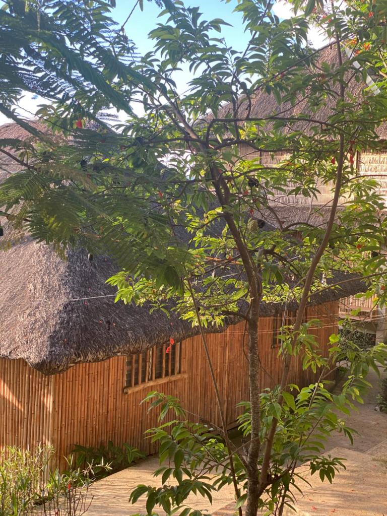 RUSTIQUE RUE Mabini - Hostel photo 4