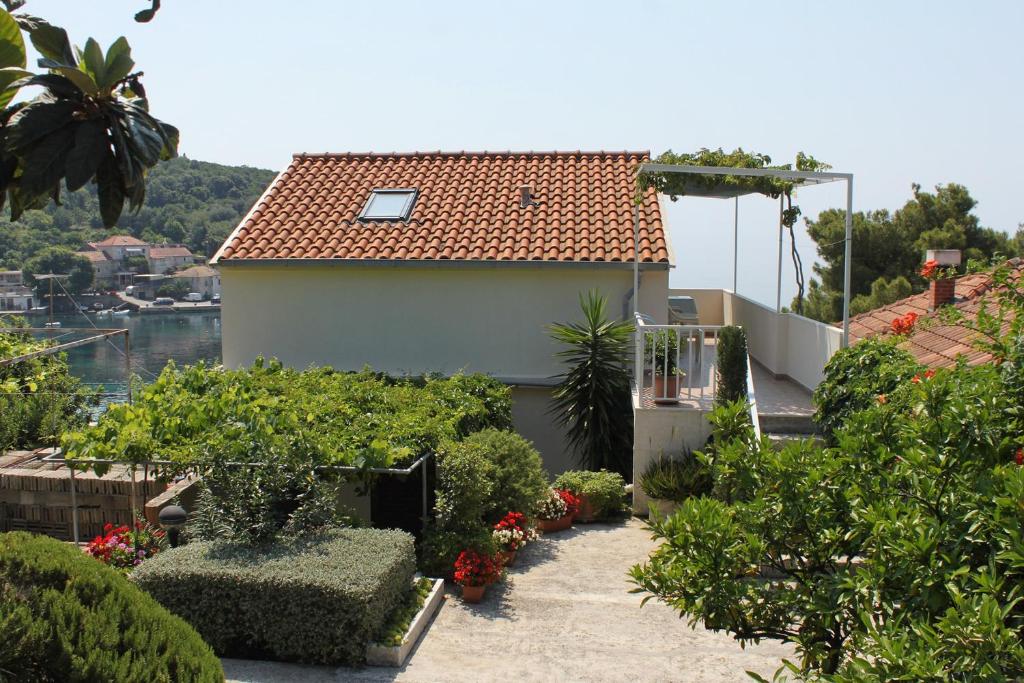 Apartments and rooms by the sea Molunat, Dubrovnik - 9102 photo 1