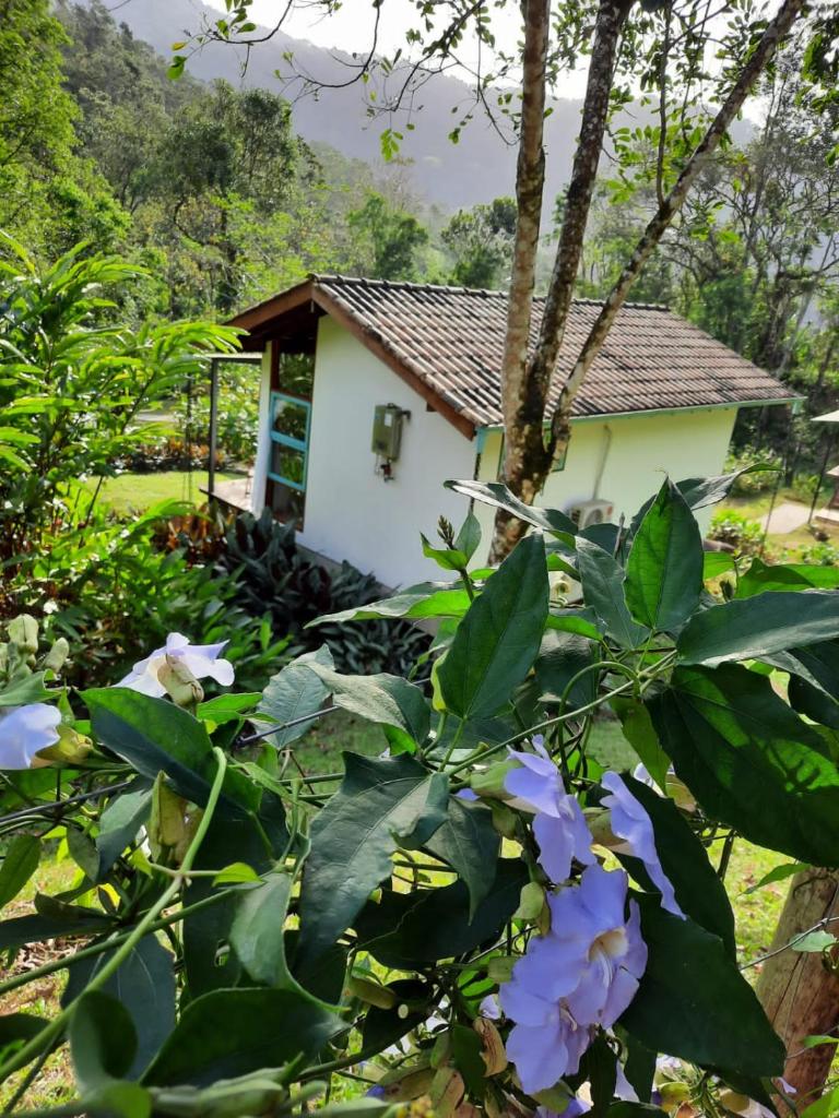Paiol Eco Suites photo 2