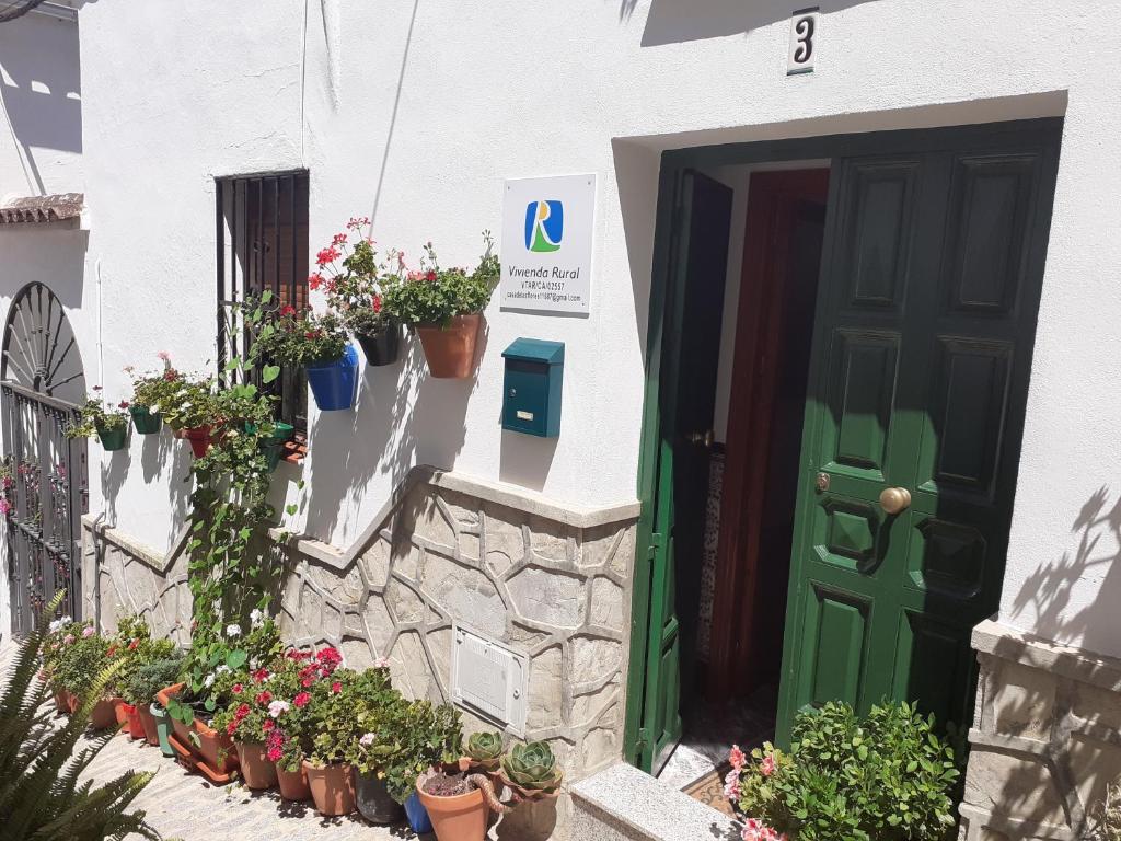 Casa de las Flores - a picture perfect location! photo 2