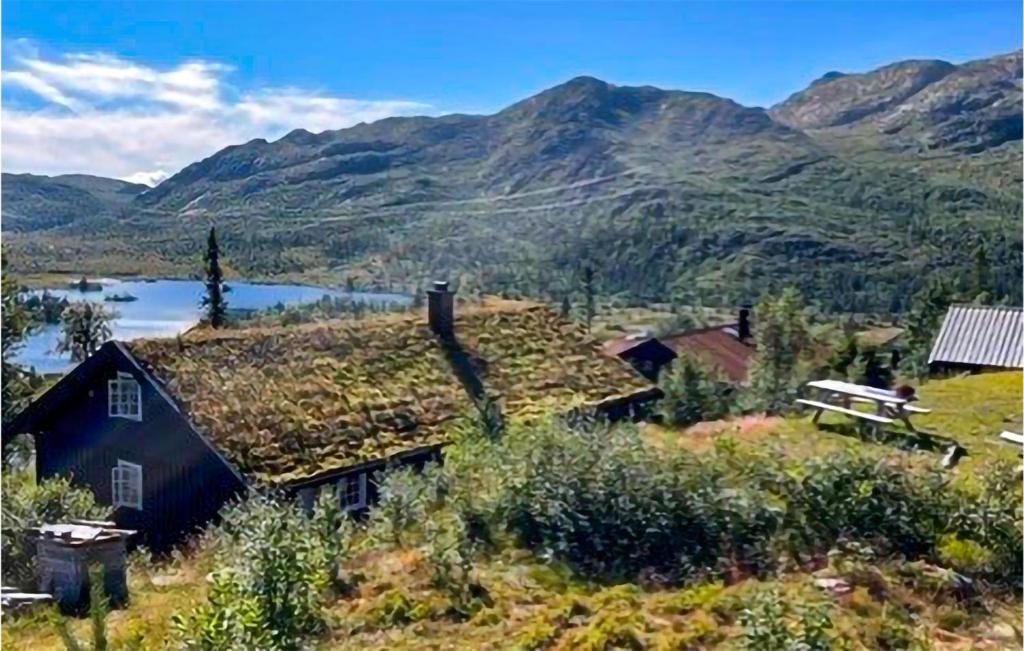 Amazing Home In Rjukan With Jacuzzi, Sauna And Wifi photo 1