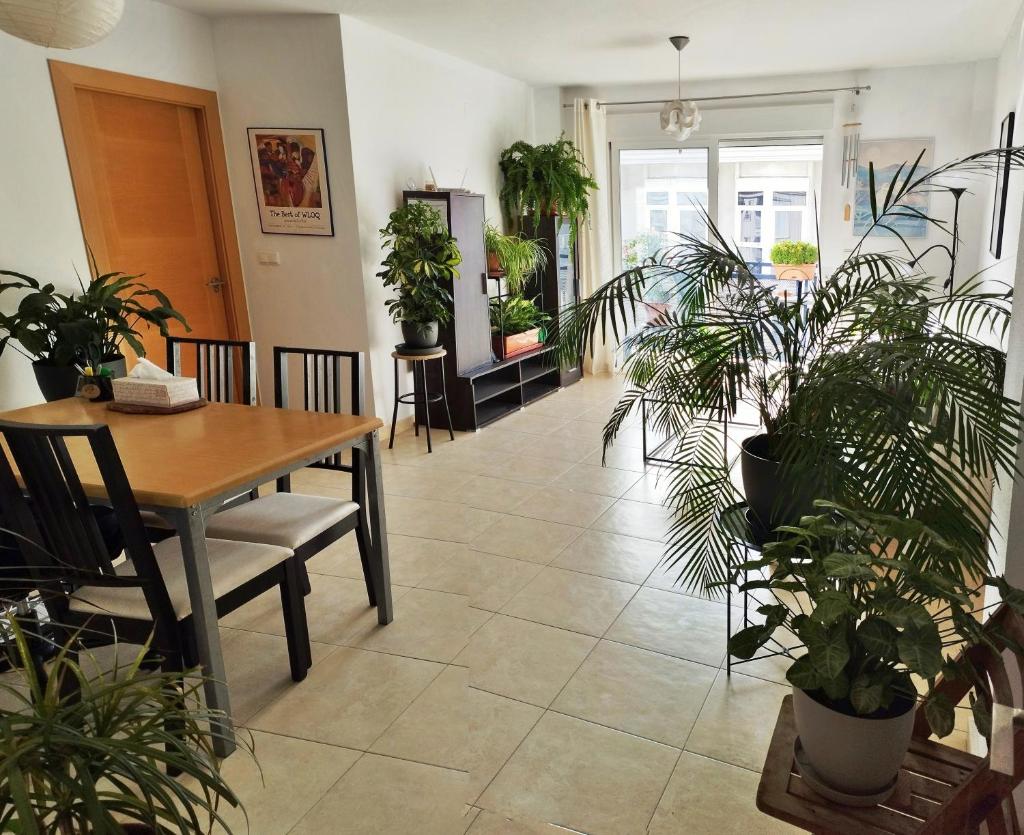 Apartamento Compartido Cerca de la Playa con Baño Privado