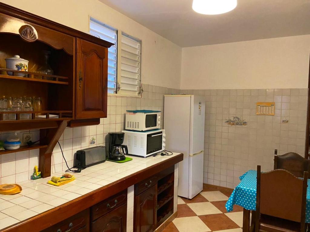Appartement de 2 chambres avec terrasse amenagee et wifi a Petit Canal a 8 km de la plage photo 1