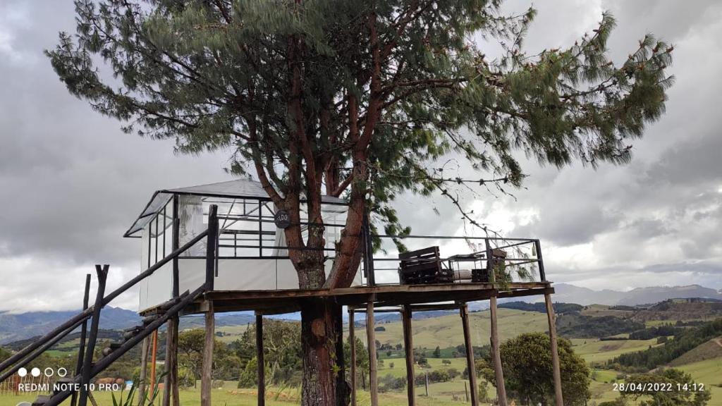 Tu Glamping photo 3