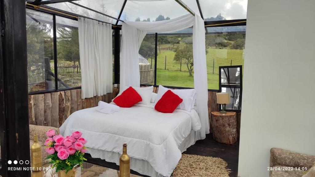 Tu Glamping photo 4
