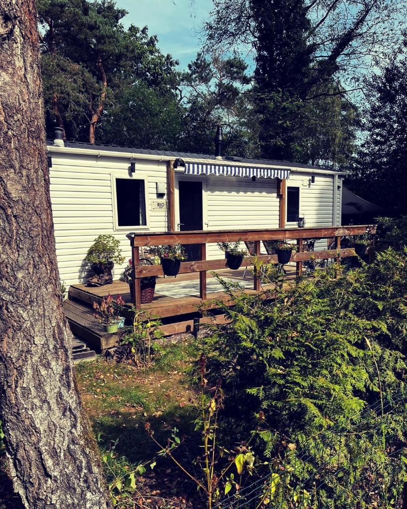 Knus chalet midden in de bossen photo 3