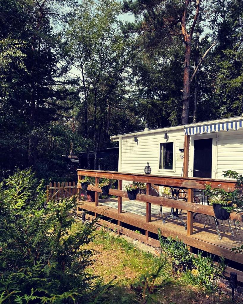Knus chalet midden in de bossen photo 2