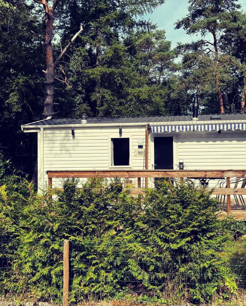 Knus chalet midden in de bossen photo 4