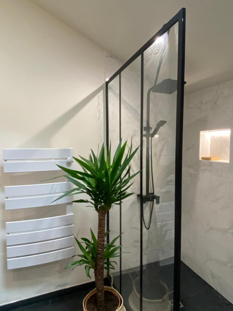 Charmant appartement avec SPA photo 2