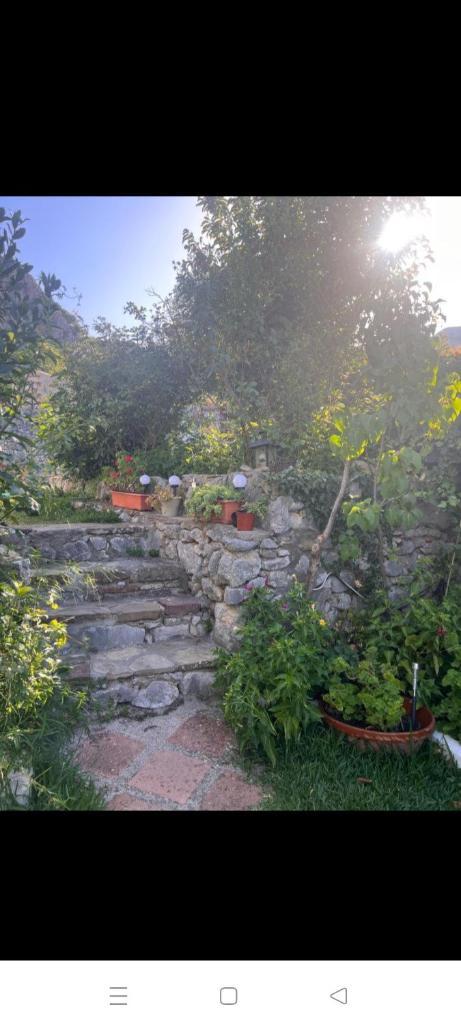 Casa Nani photo 2