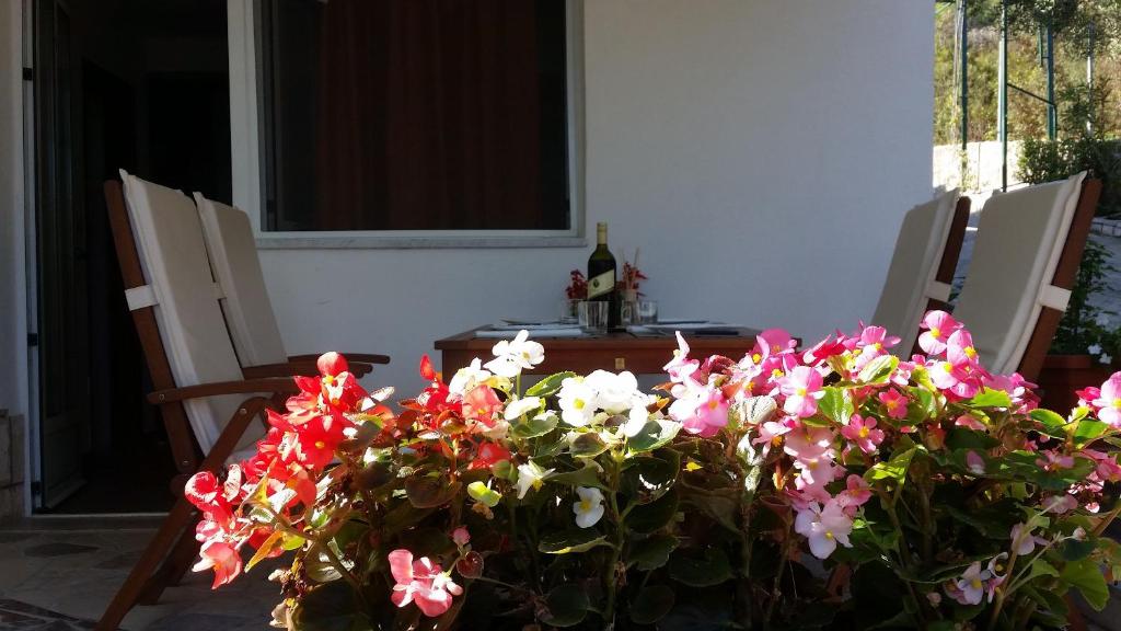 Apartments Jurica photo 1