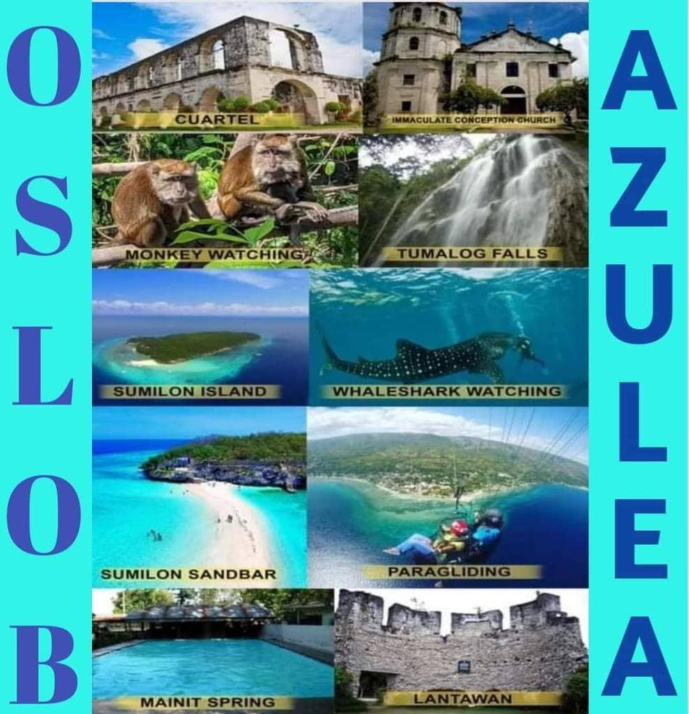 Azulea Lodging House Oslob photo 4