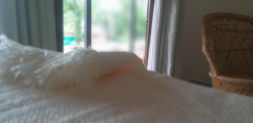 The Ixora - A Boutique Homestay photo 2