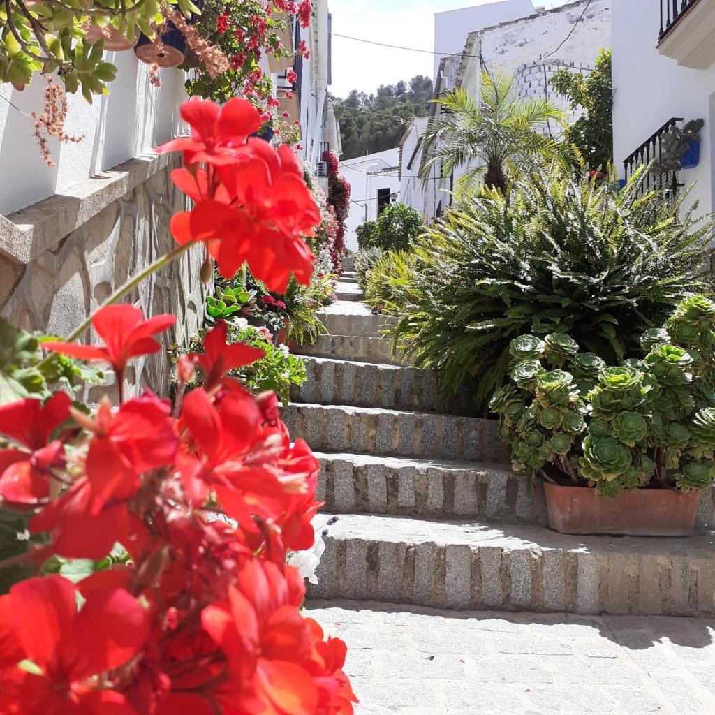 Casa de las Flores - a picture perfect location! photo 3