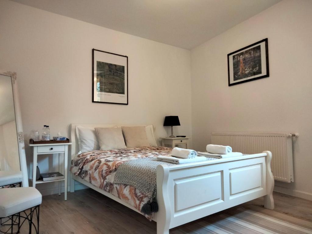 Casa Scheiana photo 3