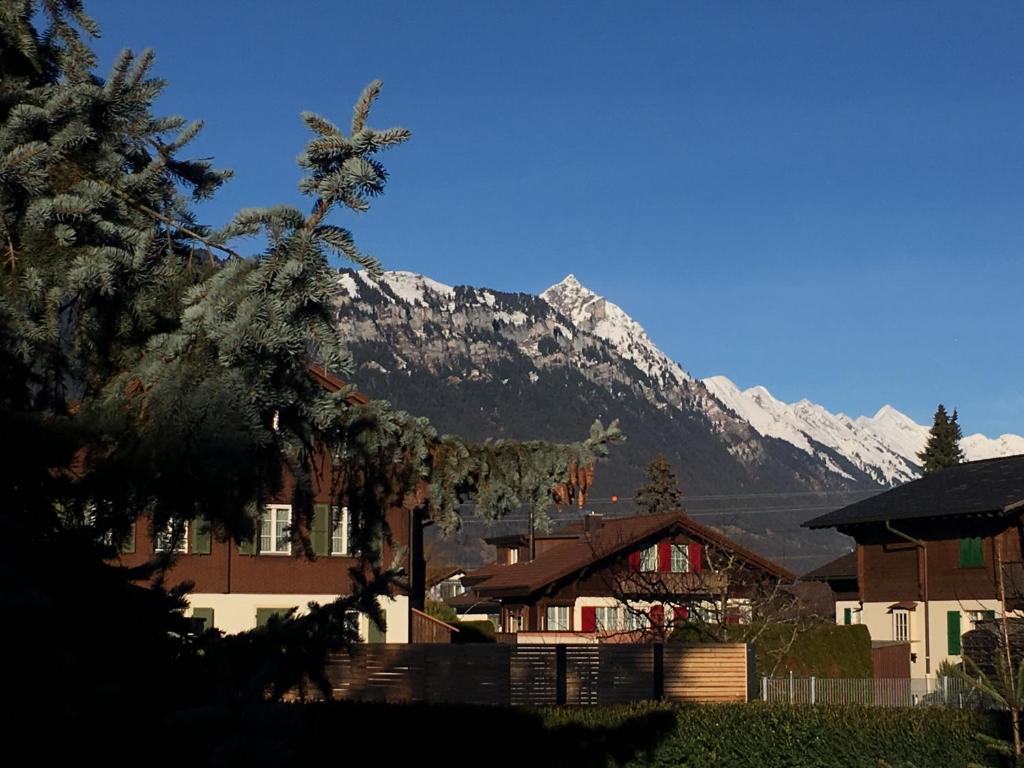Ferienwohnung Interlaken/Wilderswil photo 4