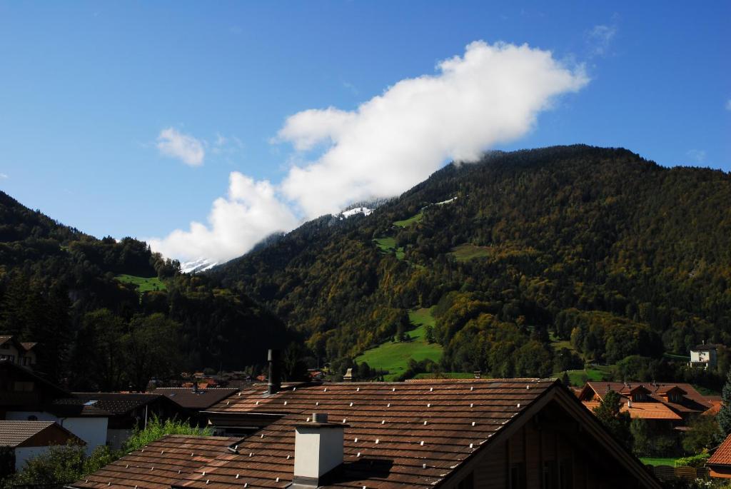 Ferienwohnung Interlaken/Wilderswil photo 3