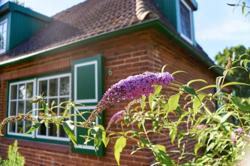 Gemütliches Landhaus in Harmsdorf photo 1