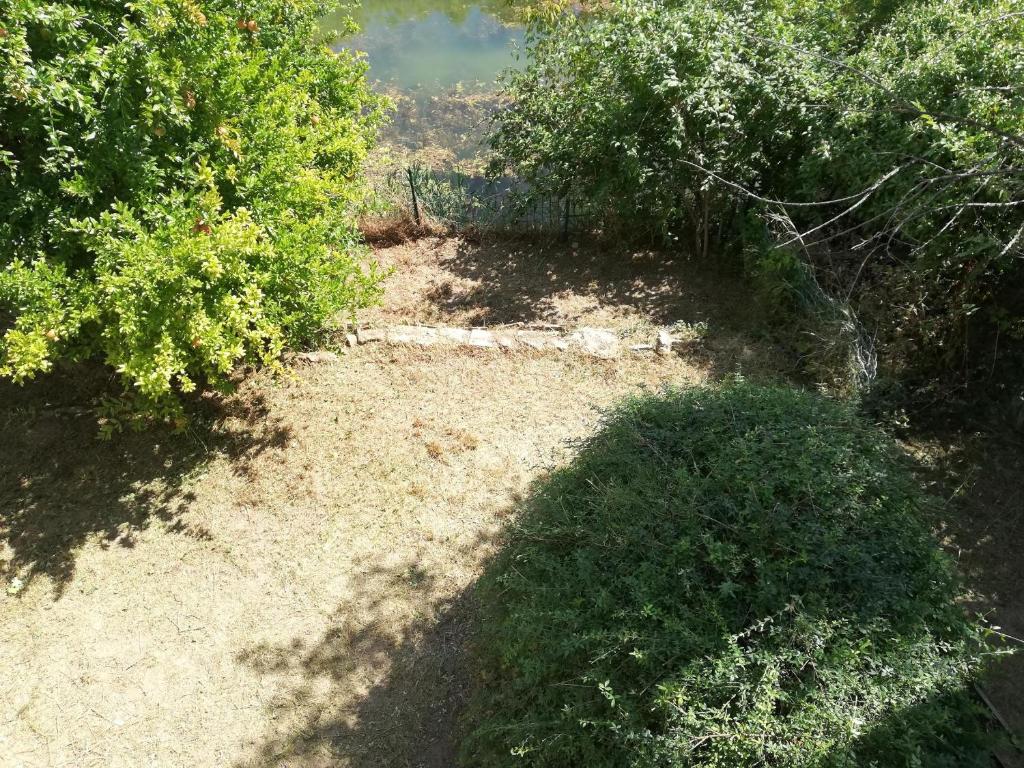 Déjeuner au bord de l'eau photo 4