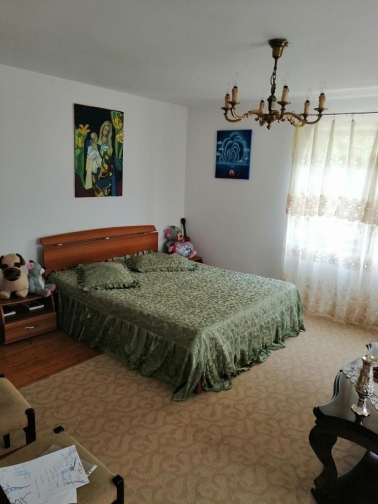 CASA ILEA-Agapia" photo 2