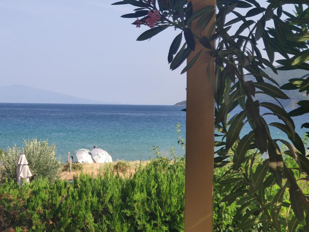 Blue Crystal Villa photo 3