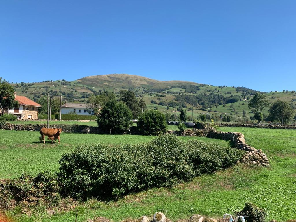 Casa Amalia - En el corazón verde de Cantabria!! photo 3