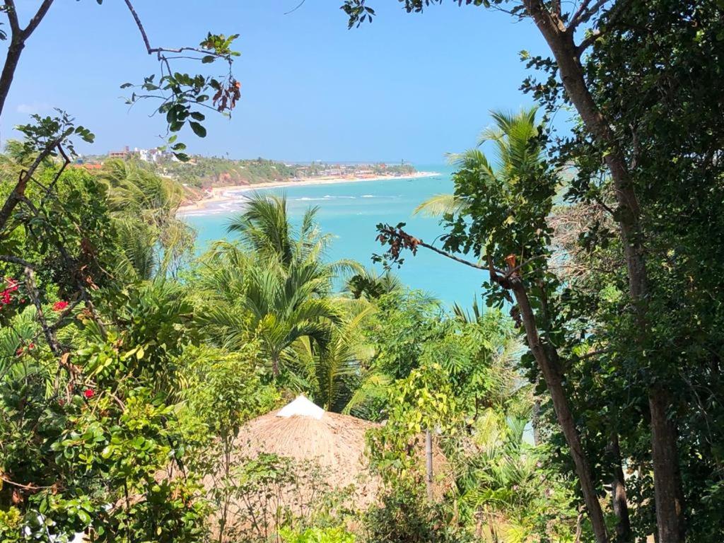 Paraíso à beira mar, praia de Carapibús. Conde. João Pessoa photo 2