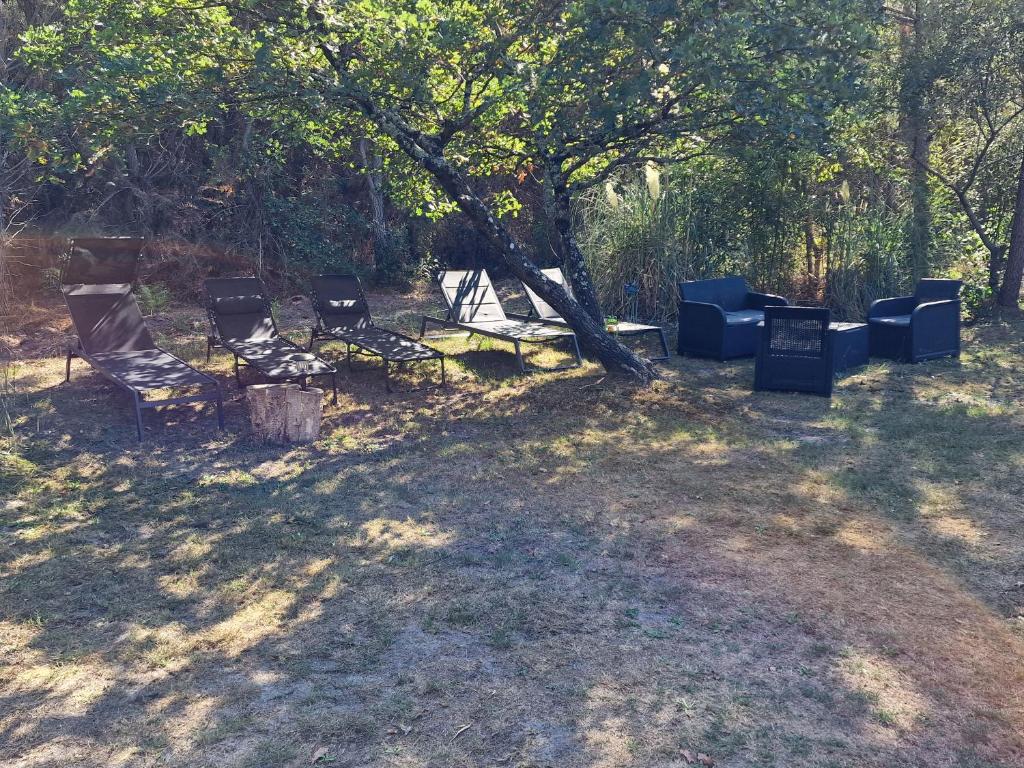 Grand Mobile home dans camping photo 1