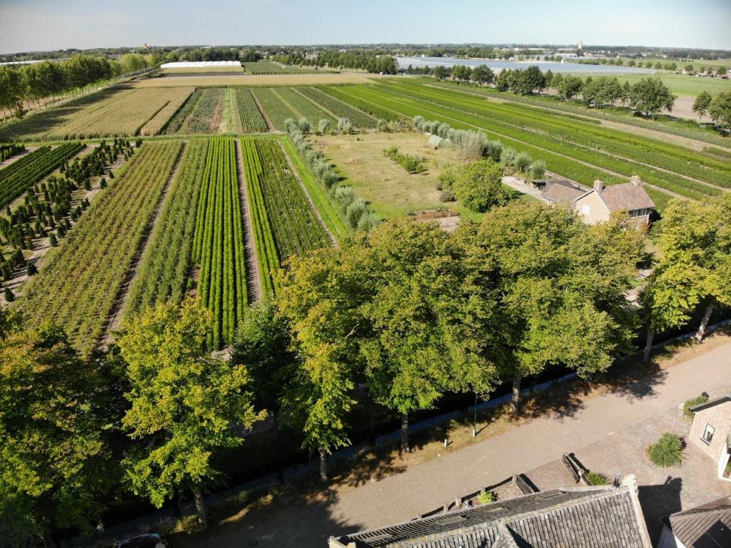 Hofstede Dongen Vaart photo 3