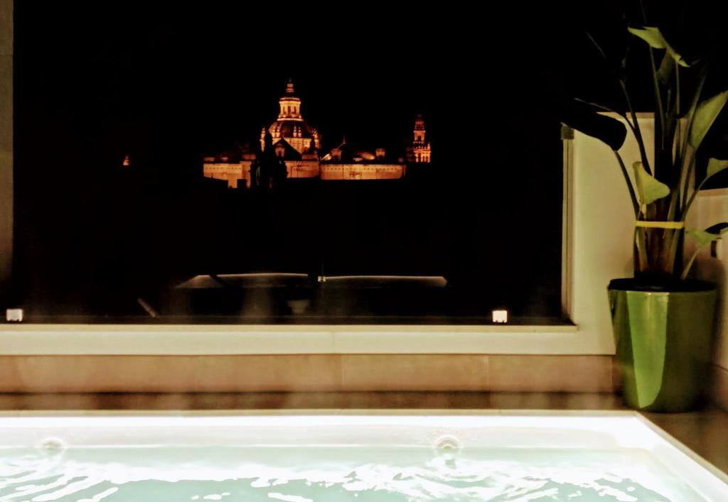 Luxury Penthouse with private pool Setas monument photo 3