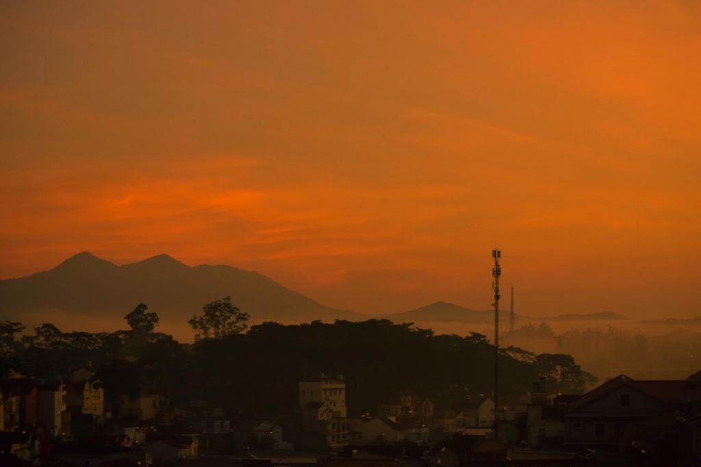 Hoàng Vy
