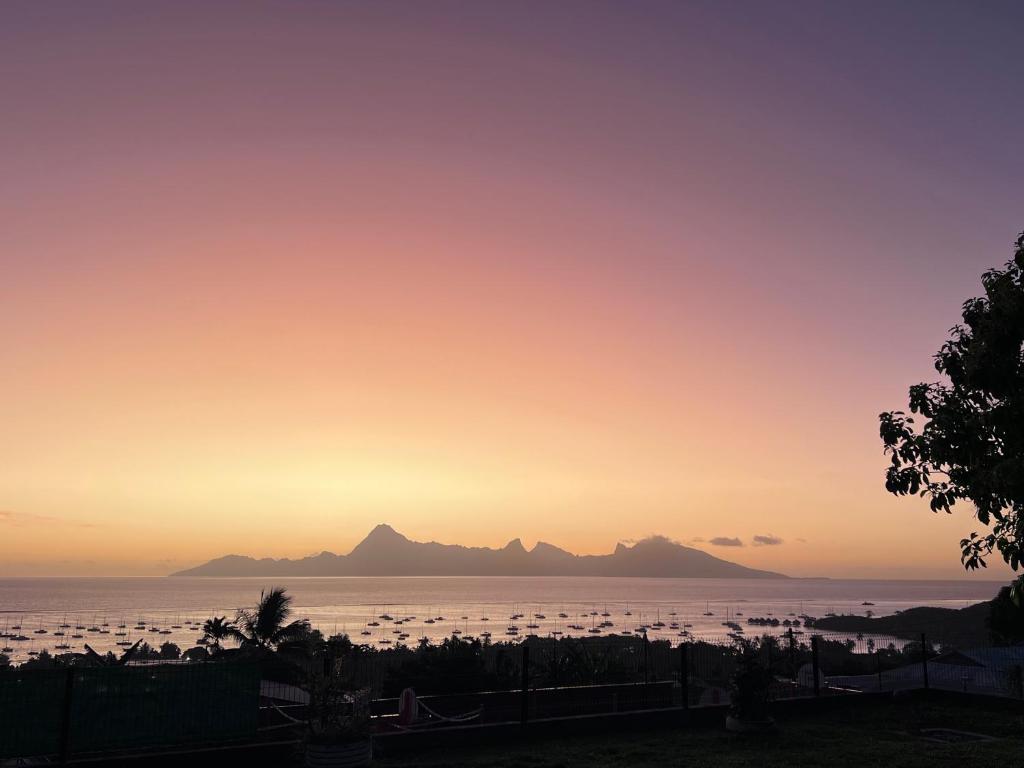 BNB SUNSET TAHITI photo 2