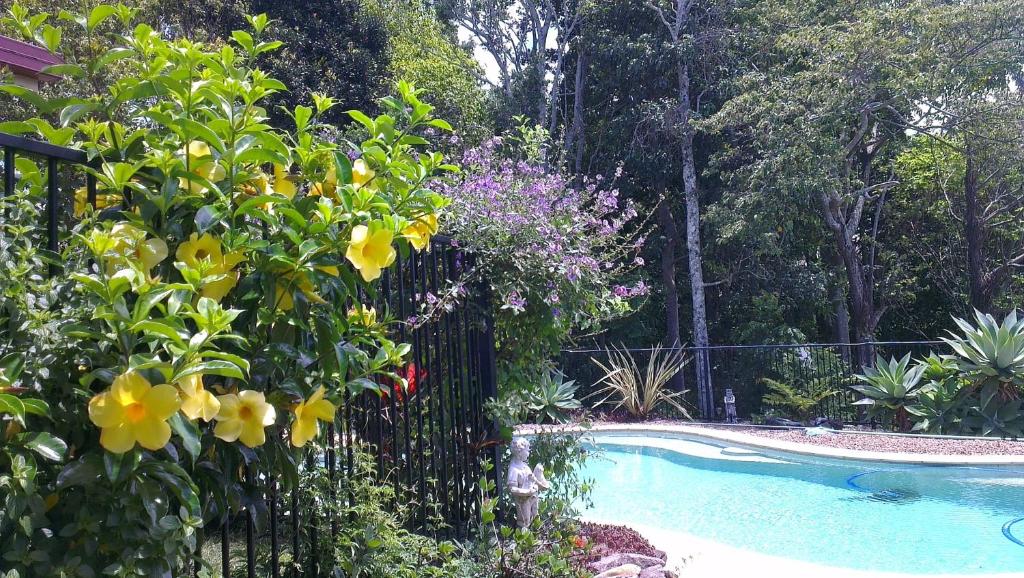 Tropical Coast Retreat - Pet Friendly - Adult only photo 3