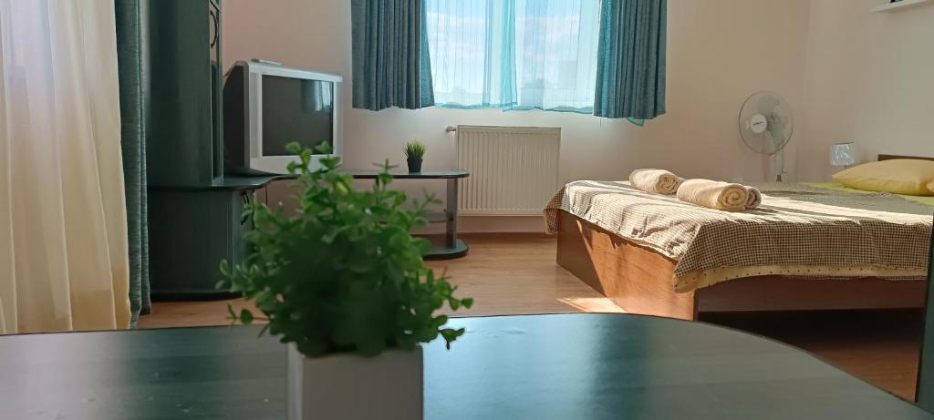 VIP Apartments in the Centre photo 3