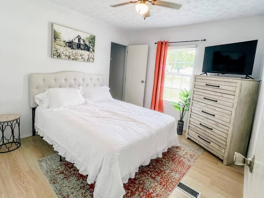 Beautiful Stylish 3 bedroom home in Greenville photo 3