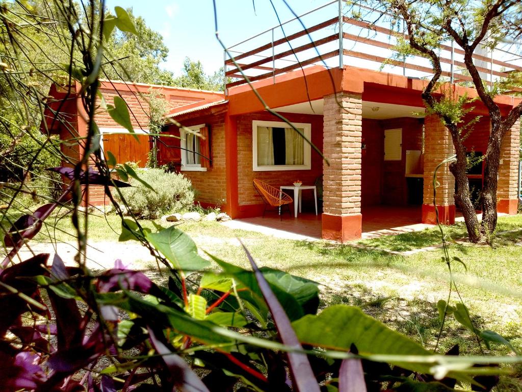 Dorado del Sol photo 2