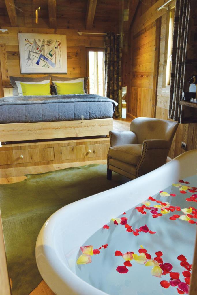 La Maison de Dolphe Chalet de Charme & Art gallery photo 2