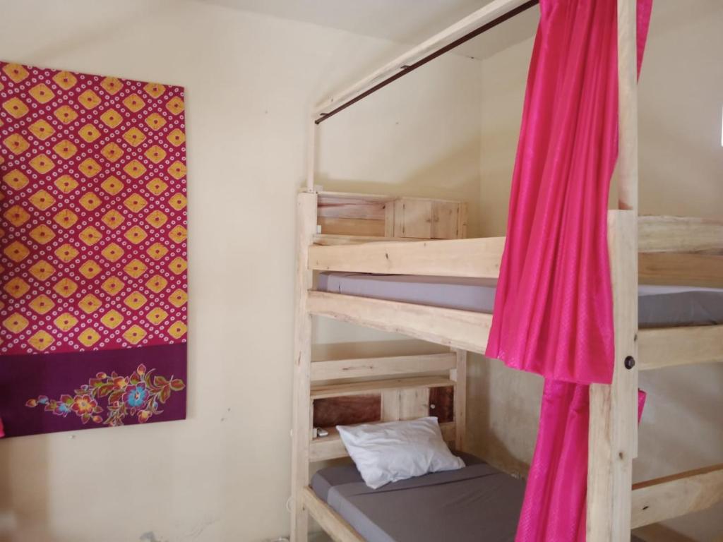 Barracuda Beach Hostel photo 3
