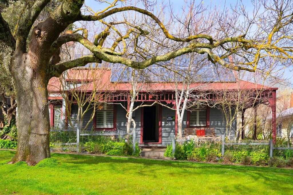 Maple Daylesford photo 1