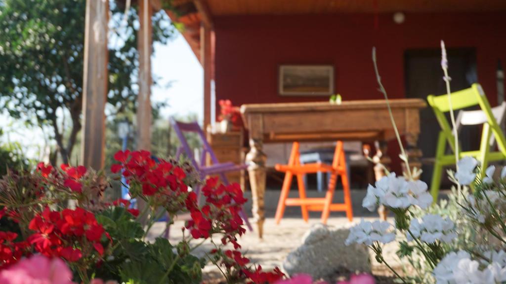 Quiet little country house with breathtaking view photo 3