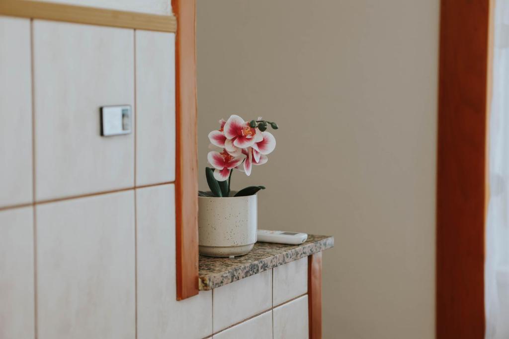I&T apartman photo 3